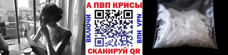 A PVP СК КРИС  Новочеркасск 