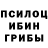 Галлюциногенные грибы Psilocybine cubensis Xalleon