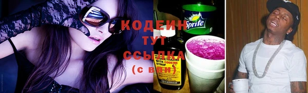 apvp Дмитриев