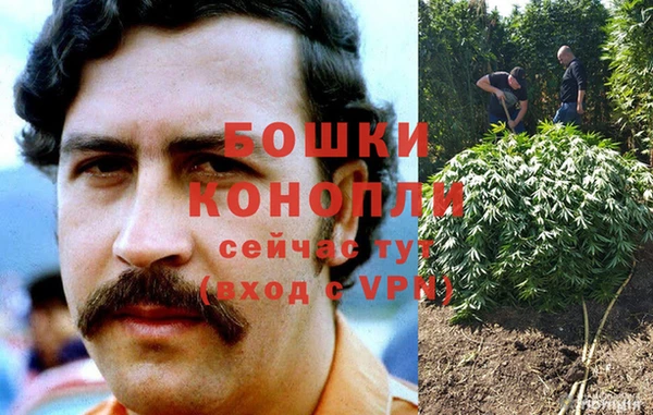 apvp Дмитриев
