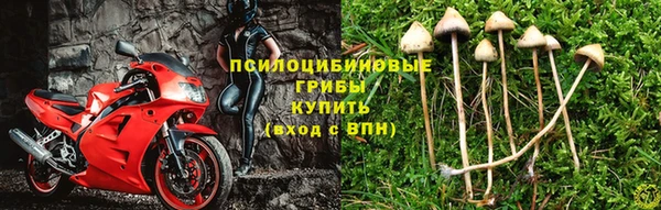 мет Елизово