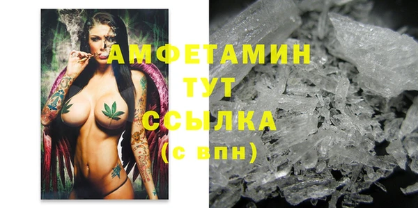 прущая мука Ельня