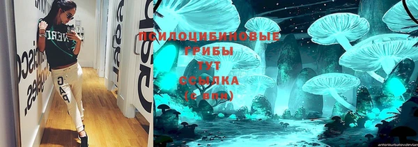 2c-b Дмитров