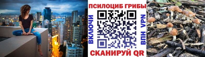 Псилоцибиновые грибы MAGIC MUSHROOMS  Новочеркасск 