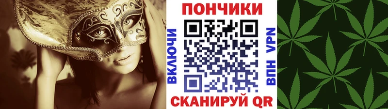 MEGA маркетплейс  цена   Новочеркасск  МАРИХУАНА Ganja 
